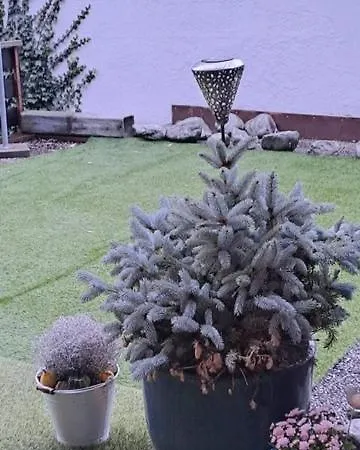 Viva Crans-montana, Rapport Qualite Prix Imbattable 아파트 *